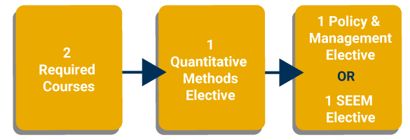 Flow chart of the CSEEM curriculum: 2 required courses; one quantitative methods course; one SEEM elective or policy and management elective.