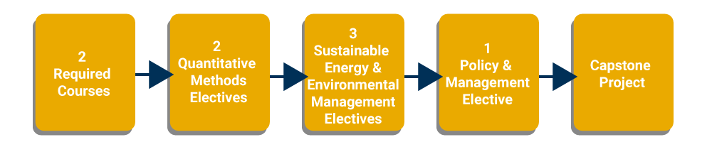 Flow chart of the MSEEM curriculum: 2 required courses; one quantitative methods course; three SEEM electives or policy and management elective; and a capstone course.