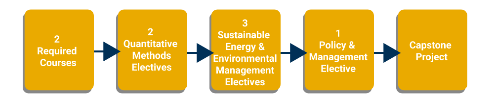 Flow chart of the MSEEM curriculum: 2 required courses: Economics of Environmental Policy and Sustainable Energy and Environmental Management Policy; two quantitative methods electives, three Sustainable Energy and Environmental Management electives, one Policy and Management elective, and Capstone Project. 
